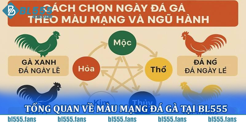 Tổng quan về màu mạng đá gà tại BL555