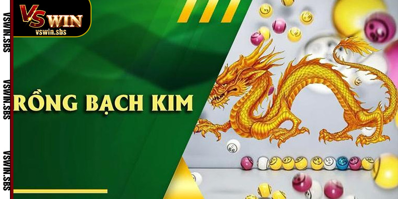 Cách soi cầu Rồng Bạch Kim tại VSwin