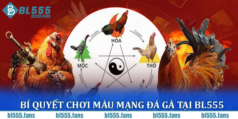 Màu Mạng Đá Gà